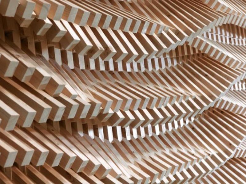 Selva Futura - Säntis Innovations Cluster Holz