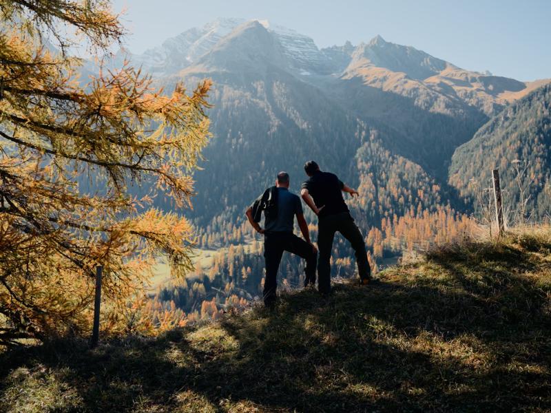Selva Futura - Säntis Innovations Cluster Holz