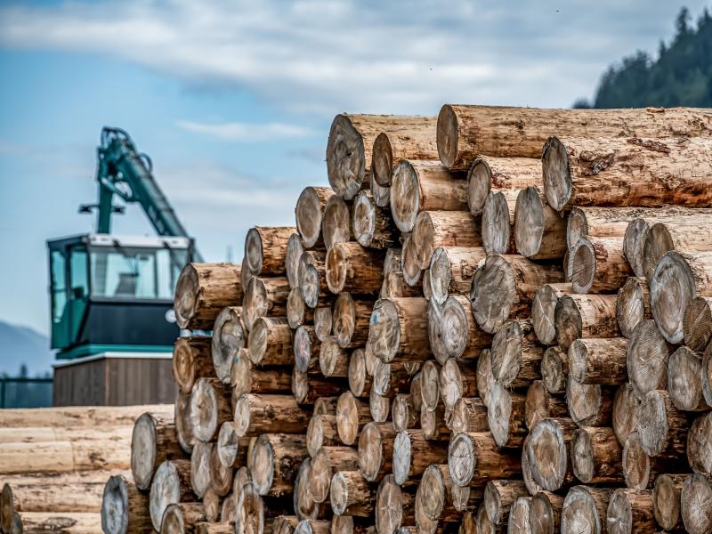 Selva Futura - Säntis Innovations Cluster Holz