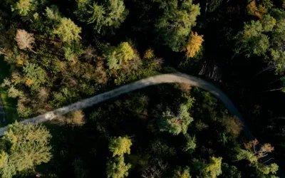 Zukunftsforum Wald und Holz